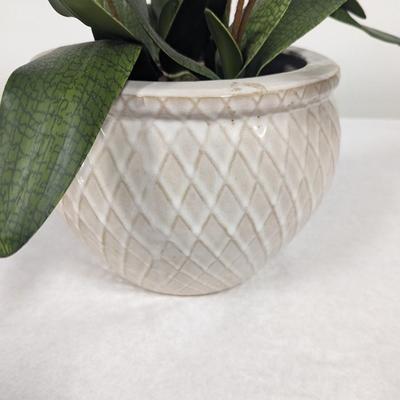 Ceramic Pottery Planter