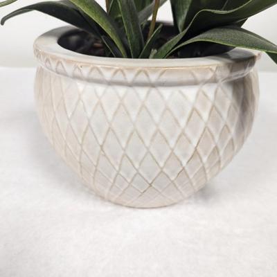 Ceramic Pottery Planter