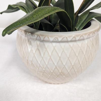 Ceramic Pottery Planter