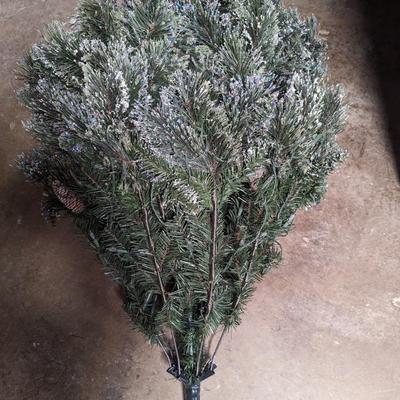 Lighted Christmas Tree