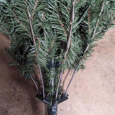 Lighted Christmas Tree