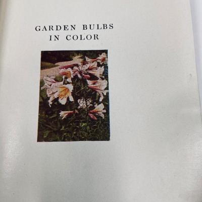 lot of 7 Vintage Books about plants