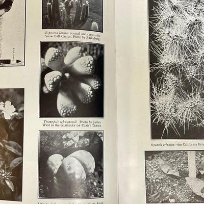 7 pc lot - Garden Plants Books & Pamphlets