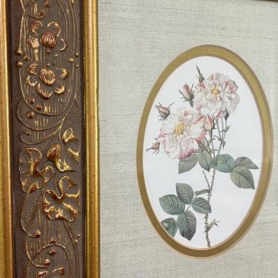 Pair CEDAR CREEK Collection Framed Art