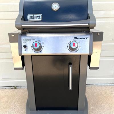 WEBER Spirit E210 Grill