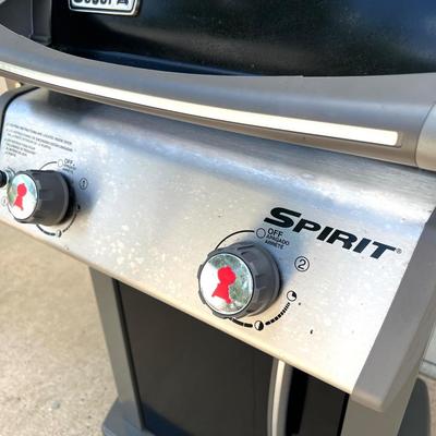 WEBER Spirit E210 Grill
