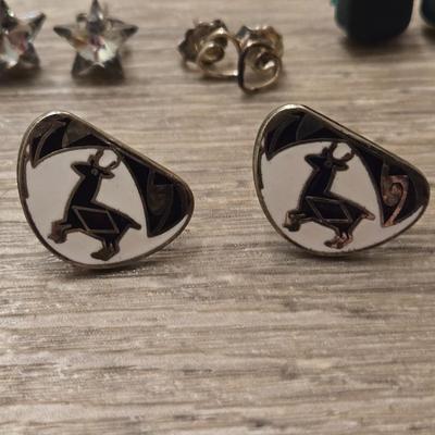 Earrings Lot