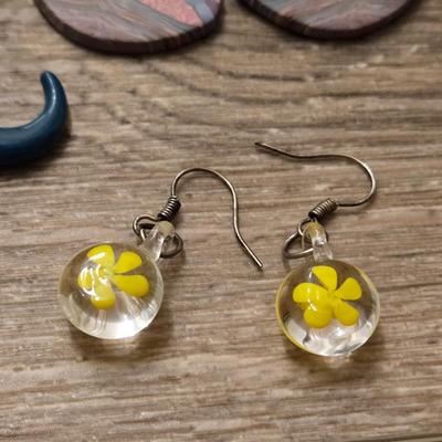 Earrings Lot