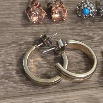 Earrings Lot