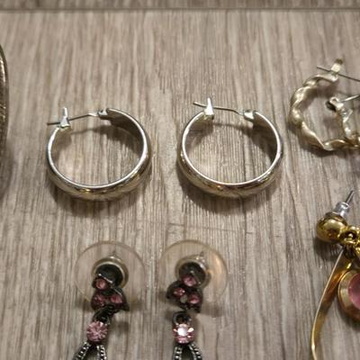 Earrings Lot