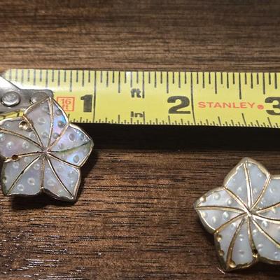 Mother of Pearl Earrings and Brooch
