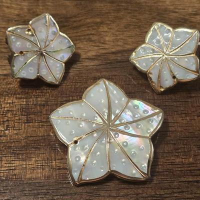 Mother of Pearl Earrings and Brooch