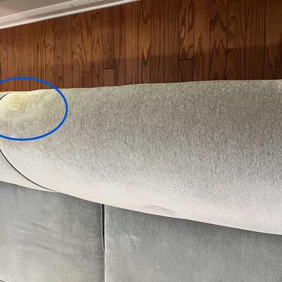 Stationary Sofa~Read Details