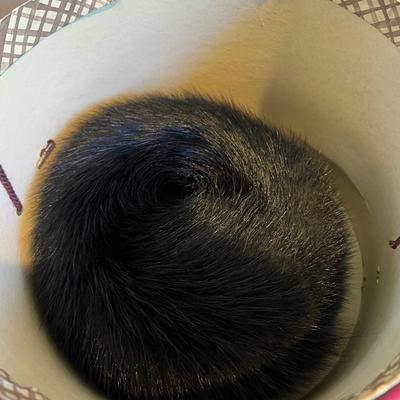 Vintage Mink Sak’s Fifth Avenue + Box