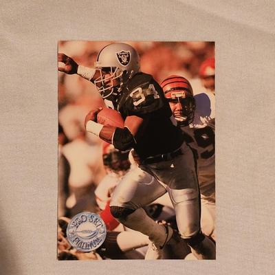 Topps 1991 Pro Set Platinum Football Cards in Binder (BDB-JS)