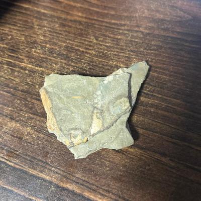 Fossil