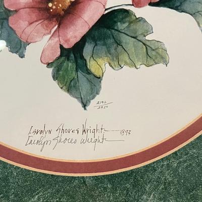 Carolyn Shores Wright Signed & Numbered Lithographs Hummingbird Pictures