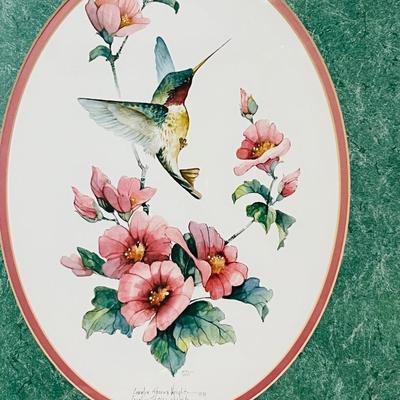 Carolyn Shores Wright Signed & Numbered Lithographs Hummingbird Pictures