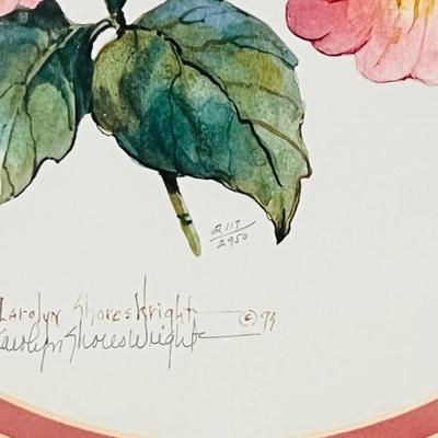 Carolyn Shores Wright Signed & Numbered Lithographs Hummingbird Pictures