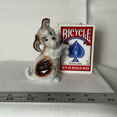 Adorable begging Porcelain Pup