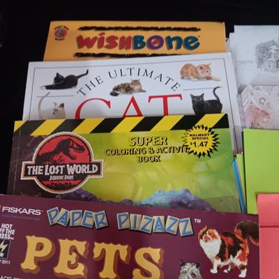 COLORED PAPER AND PAPER PIZAZZ BOOKS