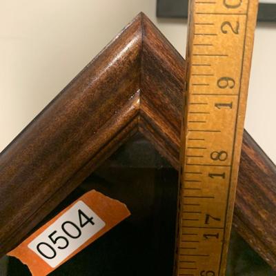 Baseball Display Case
