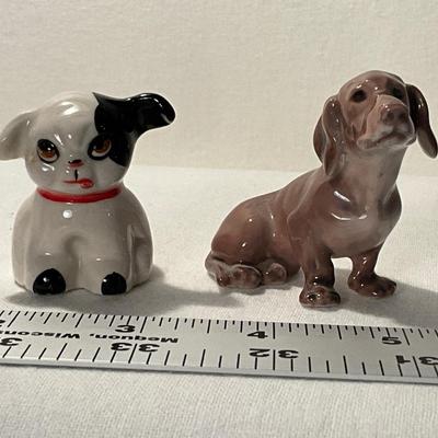 Porcelain Dachshund & Cute Puppy