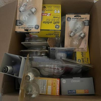 Array of Light Bulbs (B2-MG)
