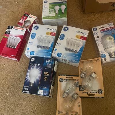 Array of Light Bulbs (B2-MG)