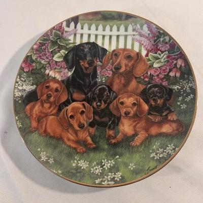 Danbury Mint Daschund Plate Collection (B1-DZ)