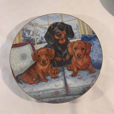 Danbury Mint Daschund Plate Collection (B1-DZ)
