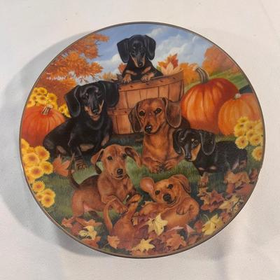 Danbury Mint Daschund Plate Collection (B1-DZ)