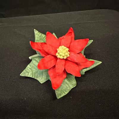 Poinsettia