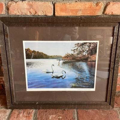 Vintage Signed Print of Swans in a Lake