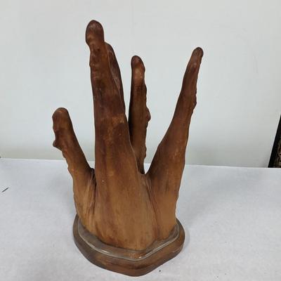 Cypress Knee Root