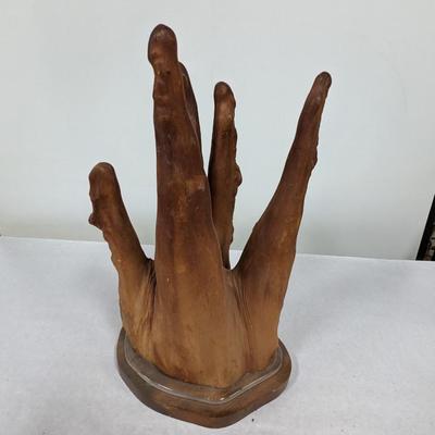 Cypress Knee Root