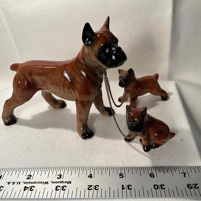 Boxer dog & pups on a chain