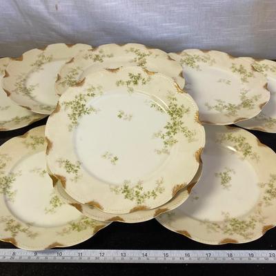 10 Vintage Haviland Limoges Plates
