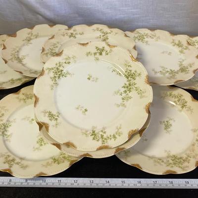 10 Vintage Haviland Limoges Plates