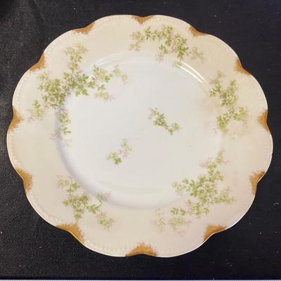 10 Vintage Haviland Limoges Plates