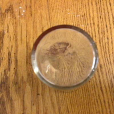 Schlitz Beer Glasses Lot