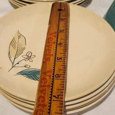 Vintage 1950s, 60s Royal Windsor Salem ☆64 Floral China Biscayne Set