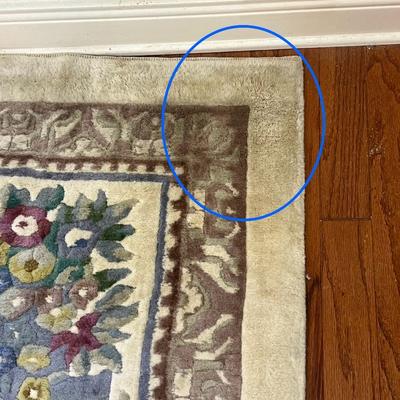 Large Area Rug~ READ DETAILS
