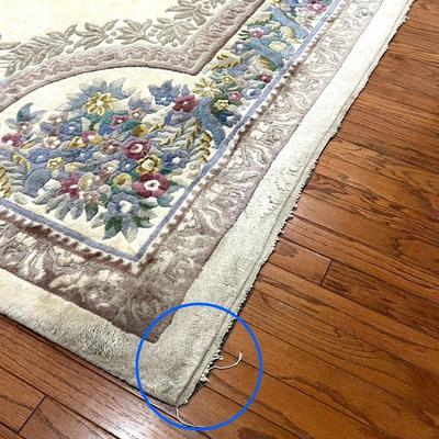 Large Area Rug~ READ DETAILS