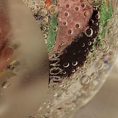 Signed Glass Sculpture paper weight