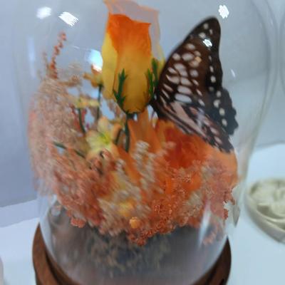 Vintage Taxidermy butterfly cloche dome with silk flowers and real butterfly - and 3 MCM Butterfly decorations