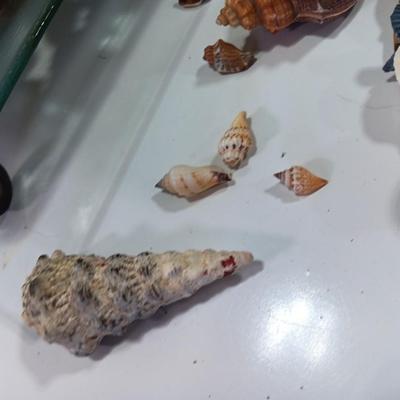 Beach in a box - 2 Marlin fish Avon bottles- Glass tray with metal stand full of shells and a Hawaii inspired picture frame
