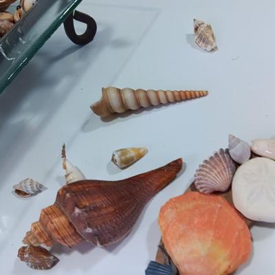 Beach in a box - 2 Marlin fish Avon bottles- Glass tray with metal stand full of shells and a Hawaii inspired picture frame