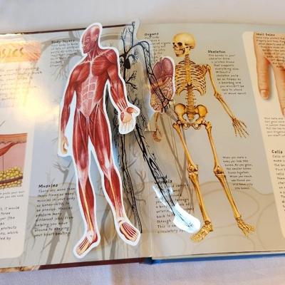 Lot #25 Pop-Up Book - The Human Body - great illustrations