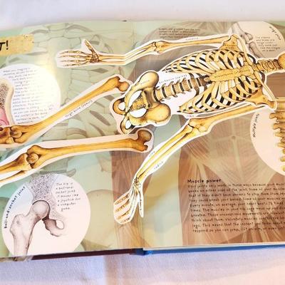 Lot #25 Pop-Up Book - The Human Body - great illustrations